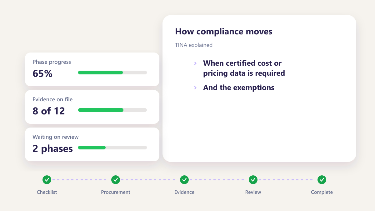 ProcureAudit TINA explained
